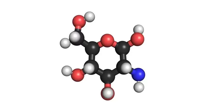 chondroitin v gelu Remofix